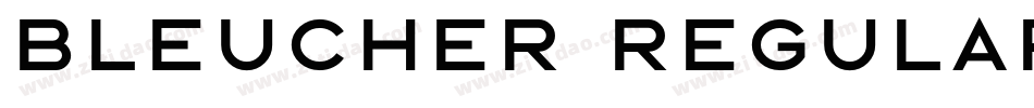 Bleucher Regular字体转换